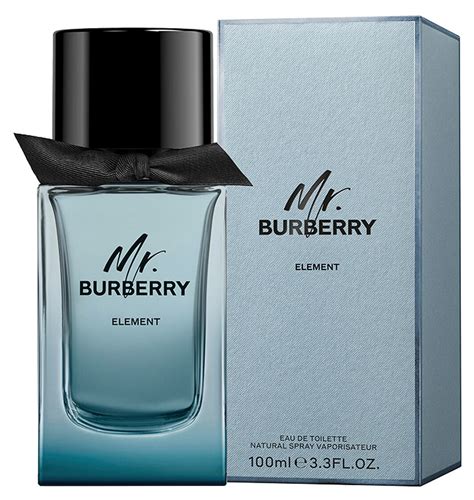 mr Burberry perfume review